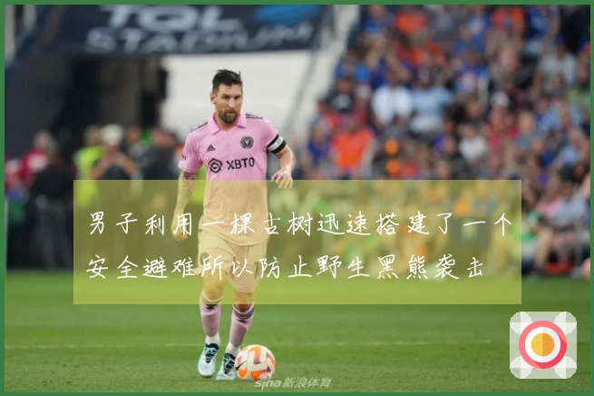 男子利用一棵古树迅速搭建了一个安全避难所以防止野生黑熊袭击