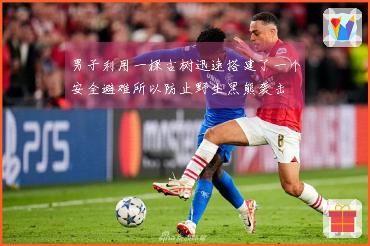 男子利用一棵古树迅速搭建了一个安全避难所以防止野生黑熊袭击